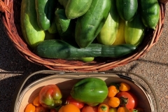 Cucumbers_Tomato_Capsicum