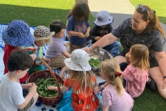 Playground to Plate Lesson