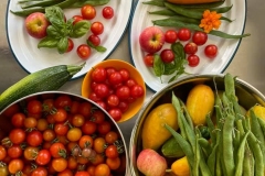 Summer Salad Ingredients